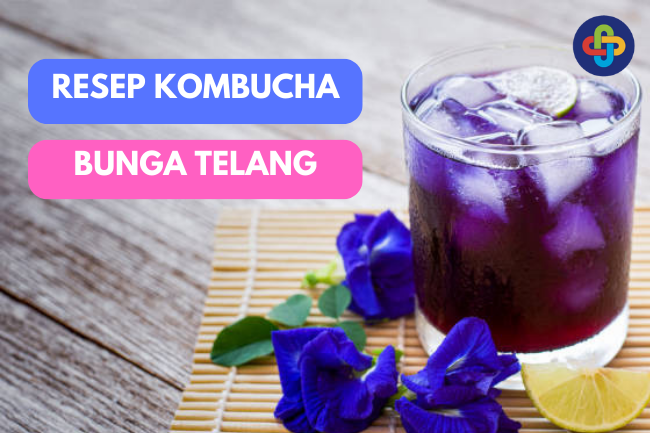 Kombucha Bunga Telang: Resep Membuatnya Sendiri